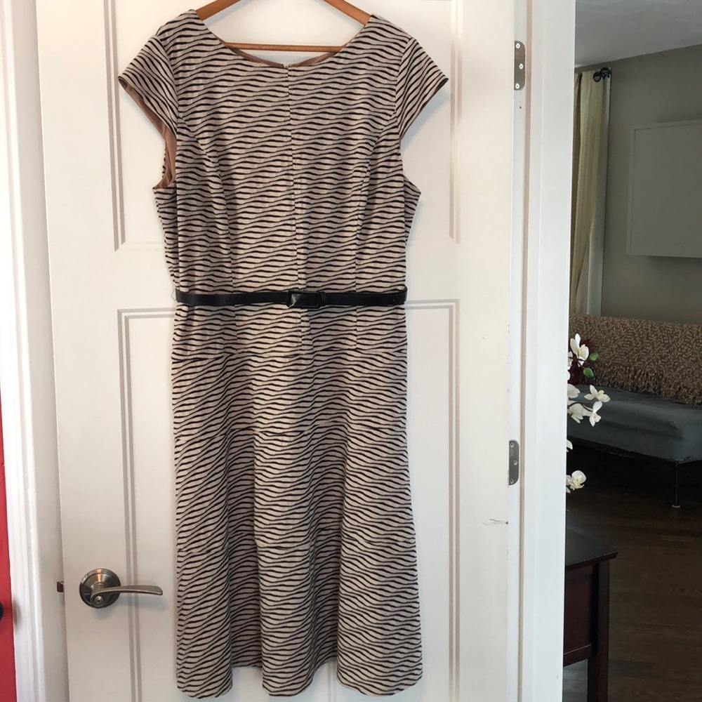 Jones Studio A-line dress